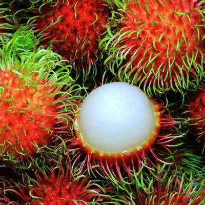 Trái cây miền Nam 3